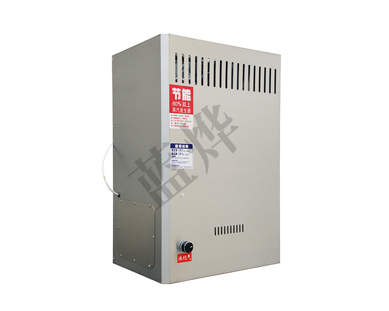 挂式蒸汽发生器